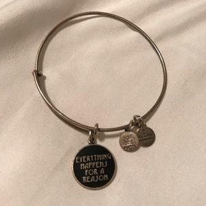 everything happens for a reason alexandani